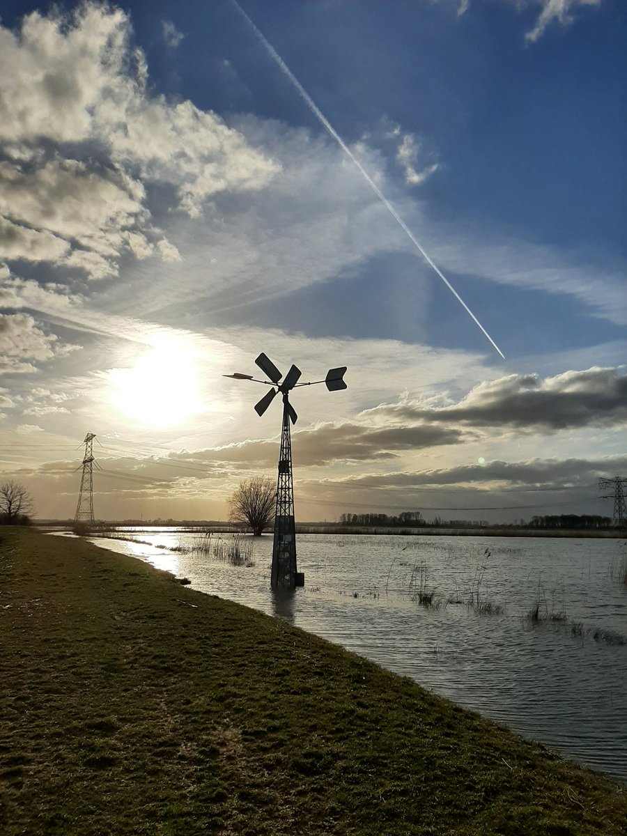 DavidHulshof's tweet photo. Na werkdag op school nog even 10 km hardgelopen in de prachtige Biesbosch. Tussen het hoge water door over dijkjes en paden. Af en toe even stil gaan staan voor een foto en te genieten van wat ik zag. #mooiedagafsluiting https://t.co/Uzf63b4cmg