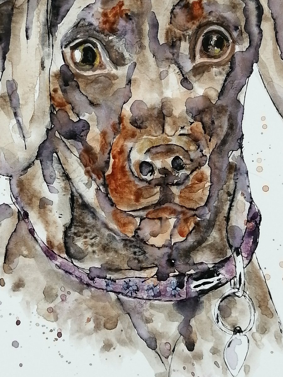by_jobo's tweet photo. How are your powers of perception tonight? Can you guess what breed this dog is?
#womaninbizhour #sbs #SmartSocial #queenof #art #MHHSBD #HandmadeHour #DogsBehavingVeryBadly #patchworkpetportraits https://t.co/dhDI25rtaF