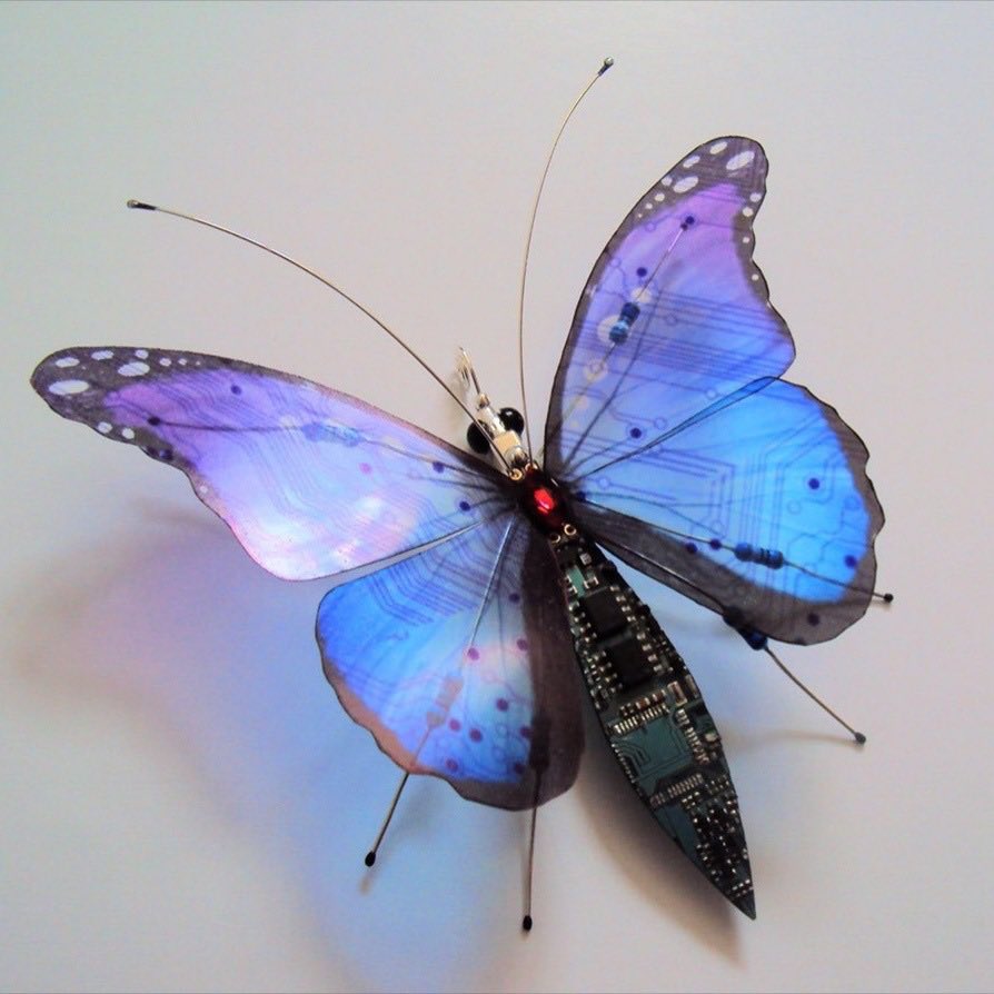 northstardoll's tweet image. winged insects by julie alice chappell