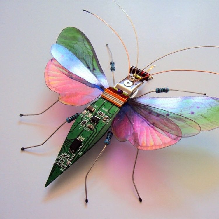 northstardoll's tweet image. winged insects by julie alice chappell
