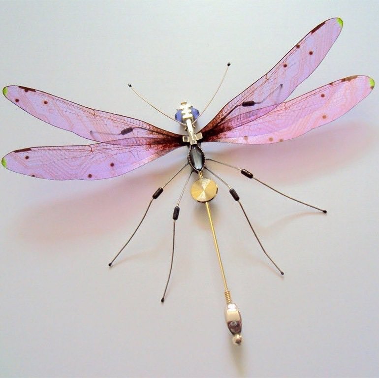 northstardoll's tweet image. winged insects by julie alice chappell