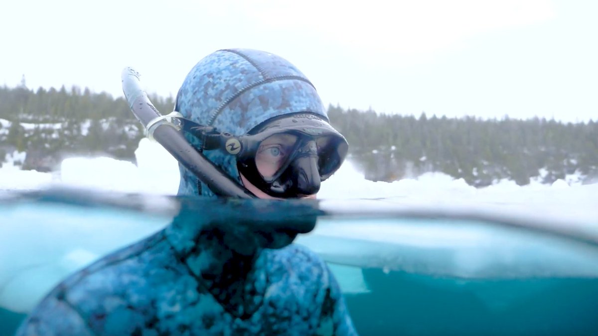 We love to both see and showcase the wonders of natural Canada. This footage of free divers in a frozen Canadian lake, by @joeyspeers, still takes our breath away. Now, whether this is from the beauty or the cold, we're not quite sure. 
Check it out: bit.ly/3h8BCu3