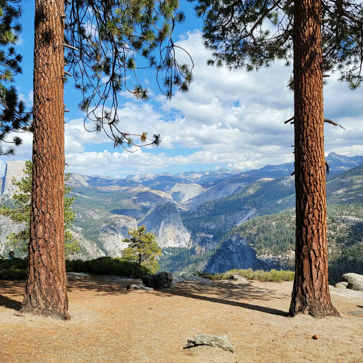 TheHableWay's tweet photo. Loving this weeks #Top4Theme with #Top4Straight Pics👍
Join the Fun & Share Your #Memories!😀
Tag @perthtravelers @CharlesMcCool @Touchse @Giselleinmotion
Trees at Washburn Point in Yosemite
Straight edge of the plane wing
Aqueduct in CA
Horizon in a Kauai Sunset https://t.co/9RnJ23PxQ2