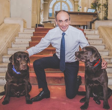 ZemNFT's tweet photo. L'original / la copie 😏

#douglasgate #LesChiensAvecPecresse #LesAnimauxAvecZemmour 
#Zemmour #Zemmour2022 #nft #polygon 
#Zemmour2emetour #ZemmourElysee #Elysee2022 #zemmourparrainages https://t.co/w2cbLioaLm