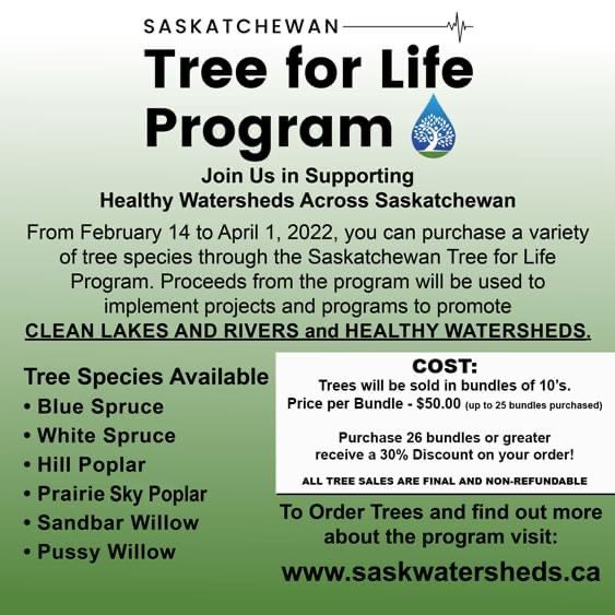 The Saskatchewan Tree for Life Program is now accepting tree orders at $5/tree 🌲 

Your purchase will help to support programs and projects that improve water quality in lakes and rivers 😁

All sales are final and non-refundable. Visit …katchewan-tree-for-life.myshopify.com to order!
