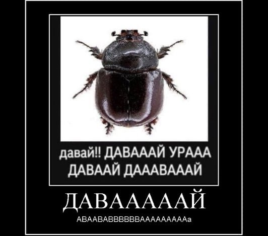 анатолий капустин tweet media