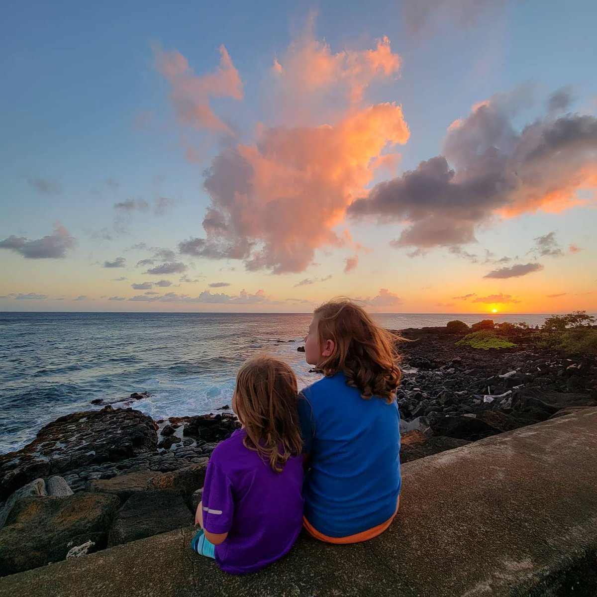 TheHableWay's tweet photo. Loving this weeks #Top4Theme with #Top4Straight Pics👍
Join the Fun & Share Your #Memories!😀
Tag @perthtravelers @CharlesMcCool @Touchse @Giselleinmotion
Trees at Washburn Point in Yosemite
Straight edge of the plane wing
Aqueduct in CA
Horizon in a Kauai Sunset https://t.co/9RnJ23PxQ2