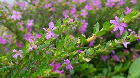 kamisama_kotoba's tweet image. Once the resolve to entrust the body to fate is made, many things begin to flow smoothly — because the resister has left.

運命へ身を投じる覚悟が固まると、
諸々滑らかに流れ始めます。
抵抗者は去ったから。
#entrust #委ねる