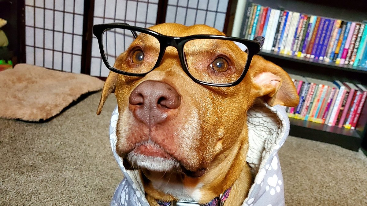 katenauthor's tweet photo. #WLW #bookcommunity My friend Jill is looking for some speculative fiction book recs with HEA. She's already read all my novels here: https://t.co/kZxt5f5PHu

#doggle #Iamwriting #Iampublishing https://t.co/oTj2VSSDt7
