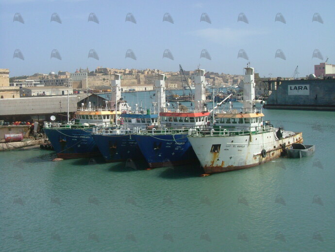 Shipguru's tweet photo. #Damenbuilt #Libyan #purseseiners #KHALEEJ_ETTAHADI, #TAGREFT, #ARRABTA and #EL_AGHILA #berthed at #grandharbourmalta - 26.04.2005 - https://t.co/nfgboxc3g3 - NO PHOTOS can be used or manipulated without our permission @damen https://t.co/umnlc4gLgw