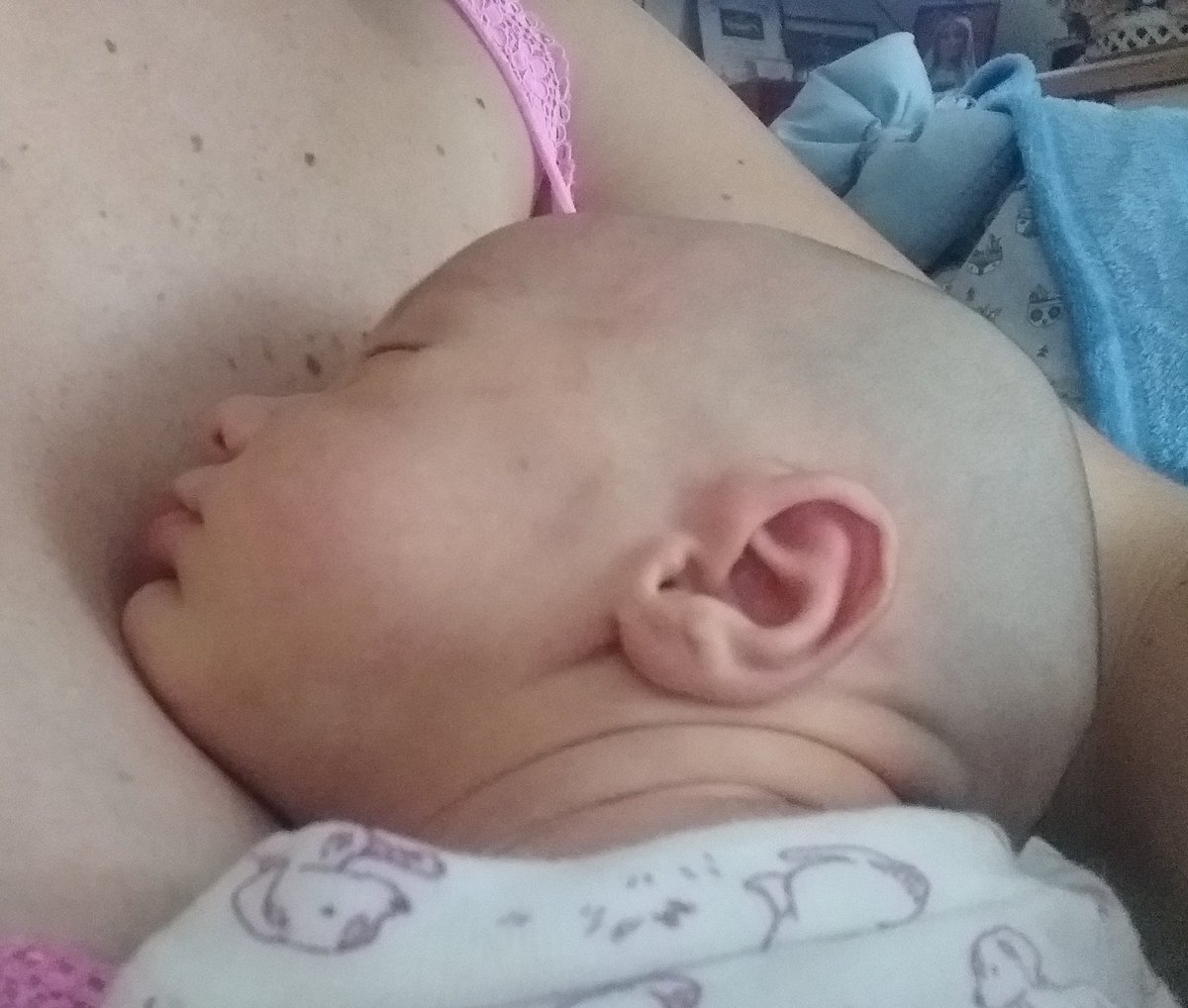 cataolsen03's tweet photo. Es que mis hijos me tienen embobada 😍🥰 https://t.co/ITRbLtu1WA