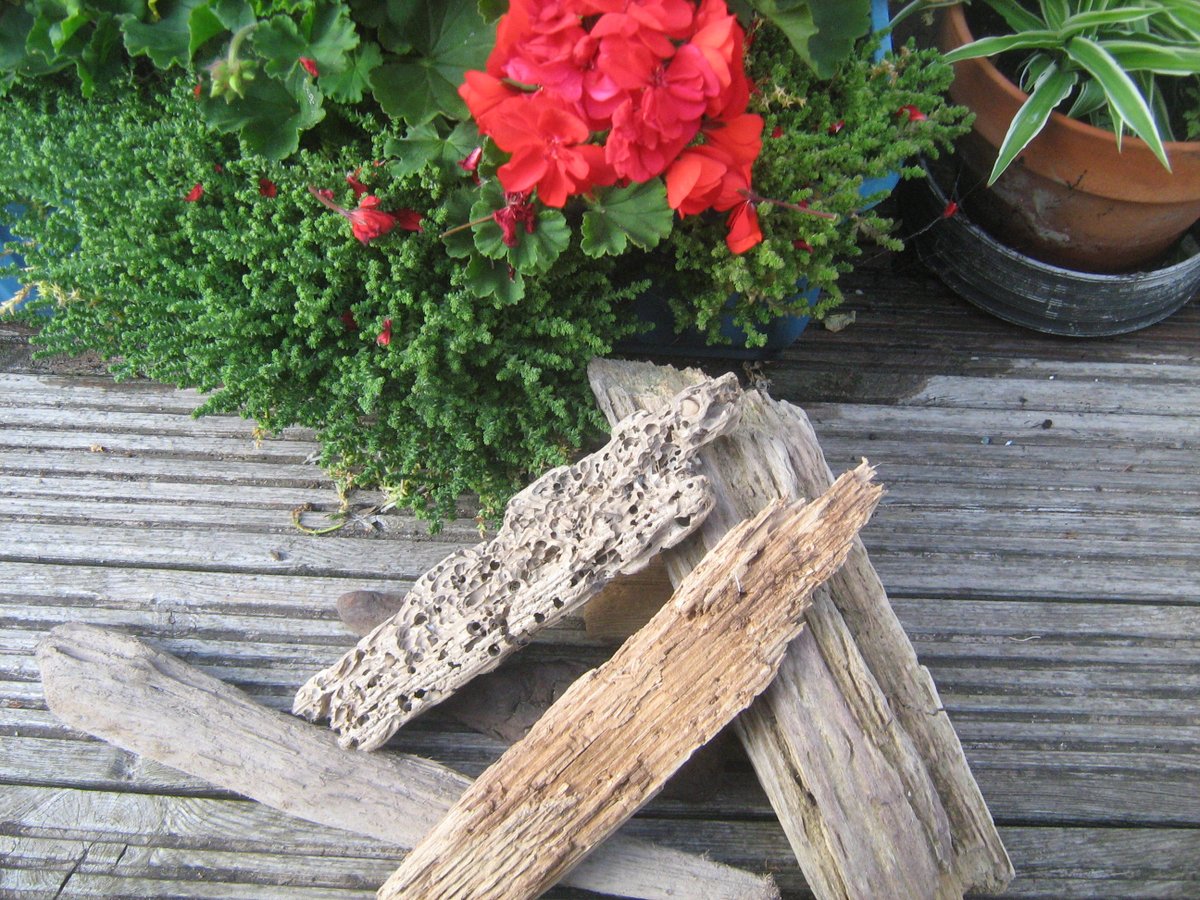 jonnyald's tweet photo. images of the storm at Felixstowe beach ,driftwood i collected on the beach after  #lifesgreat #driftwood #waves #brokenlamp #clouds #suffolk https://t.co/cwBDfQiucb