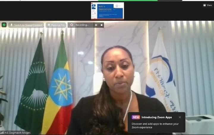 Had a virtual discussion with Ethiopian missions & key stakeholders to assess the results of #GreatEthiopianHomeComing. We appreciated the outstanding responses of our citizens & friends in the Diaspora & agreed to do our level best to scale up various engagements with them.