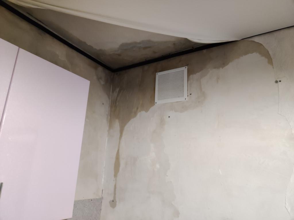 Dmitry Pyataev tweet media