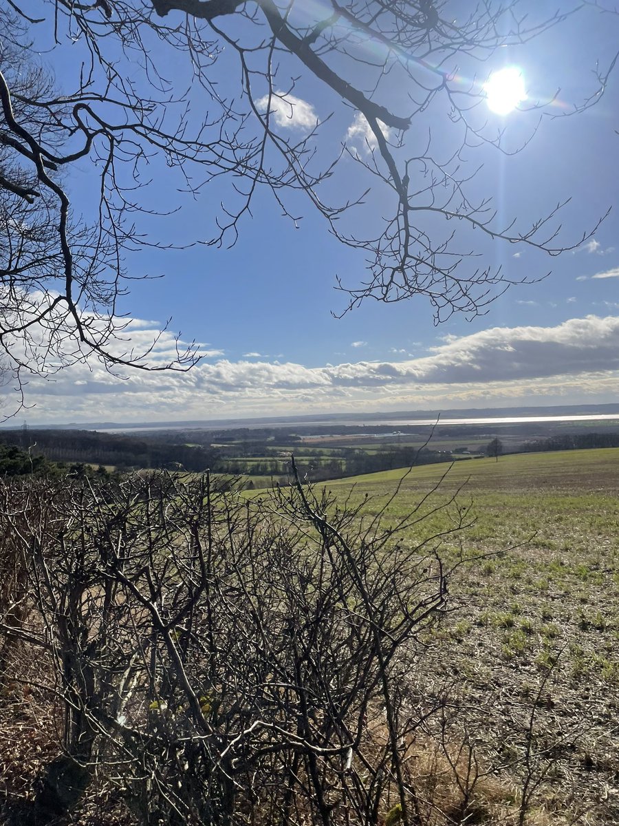 dana woodall field tweet media