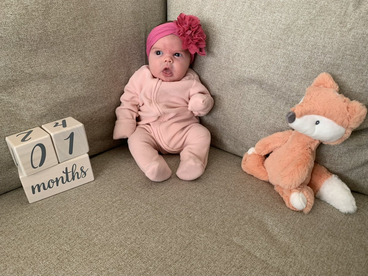 Ham_Hoagie's tweet photo. PSA- having a bad day? Here’s some adorable pictures of my baby girl Peyton https://t.co/mYC2qbUcxo