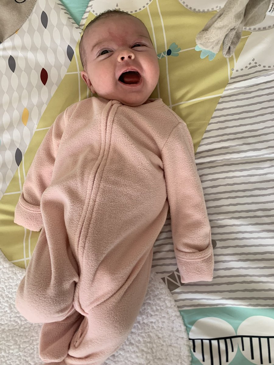 Ham_Hoagie's tweet photo. PSA- having a bad day? Here’s some adorable pictures of my baby girl Peyton https://t.co/mYC2qbUcxo