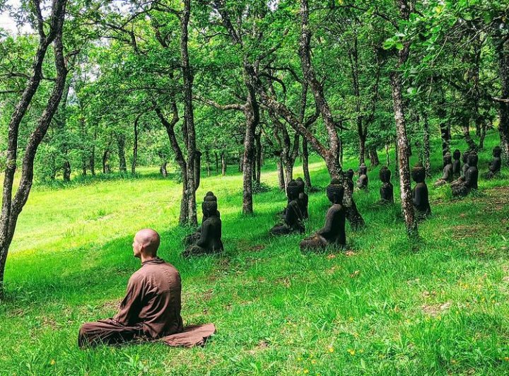 "nasıl öleceğini öğrenmek için,
kiraz çiçeklerini izle."