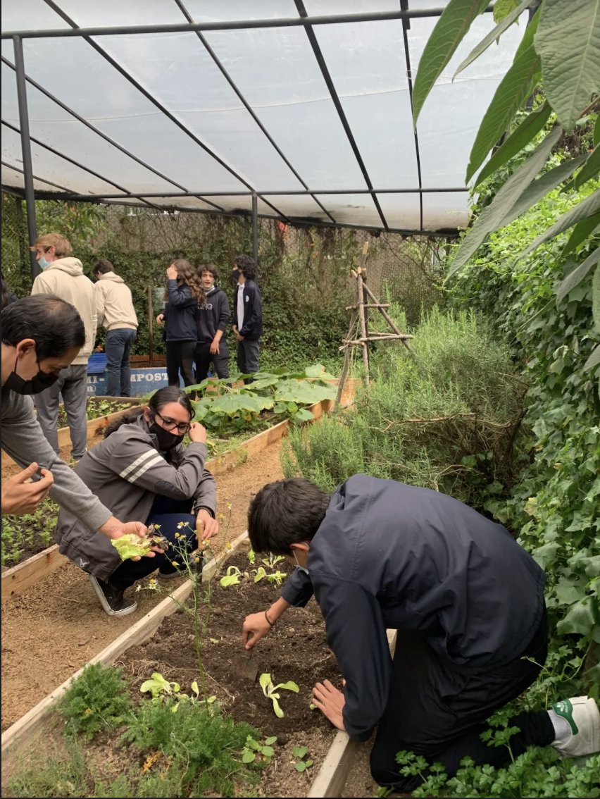 High School Principal | CNG tweet media