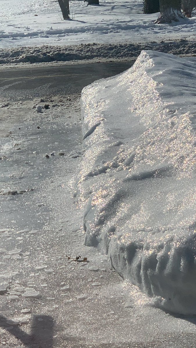 elkjoh31 tweet media