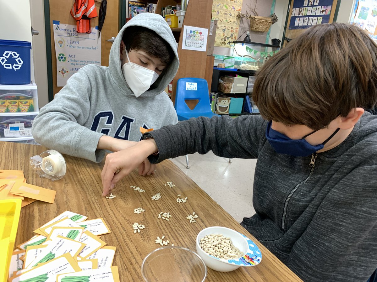 TechTeacherBerg's tweet photo. Today @HighMeadowsGA the SOS Projects class helped sort SOOO many seeds for @globalgrowers spring planting. We packaged a variety of beans, tomatoes, &amp; very tiny eggplant seeds! Check out the incredible work they do to support a network of diverse growers. https://t.co/SQaDvaNhw0