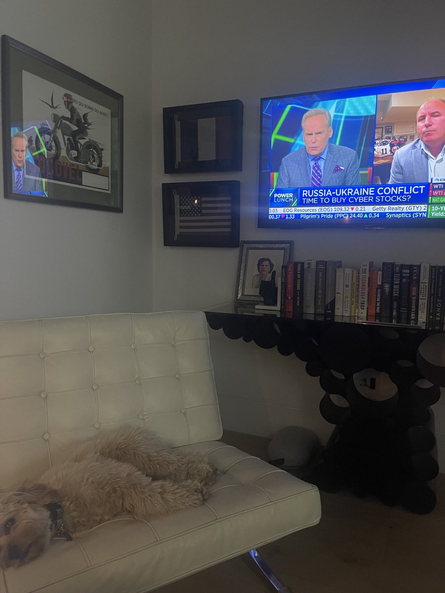 hatemdhiab's tweet image. ⁦@DivesTech⁩ my dog doesn’t look it but totally agrees with on #cybersecutity / Stella not a big fan of #russia either $crwd $panw ⁦@GerberKawasaki⁩