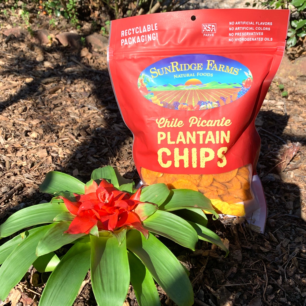 sunridgefarms's tweet photo. A little midweek inspo to put a pep in your step. You've got this!

#reachforsunridge #midweeksnack #healthynoms #chilepicanteplantains #plantbased #nongmo #kosher #healthylifestyle #recyclablepackaging https://t.co/4RWBDLVBQ2