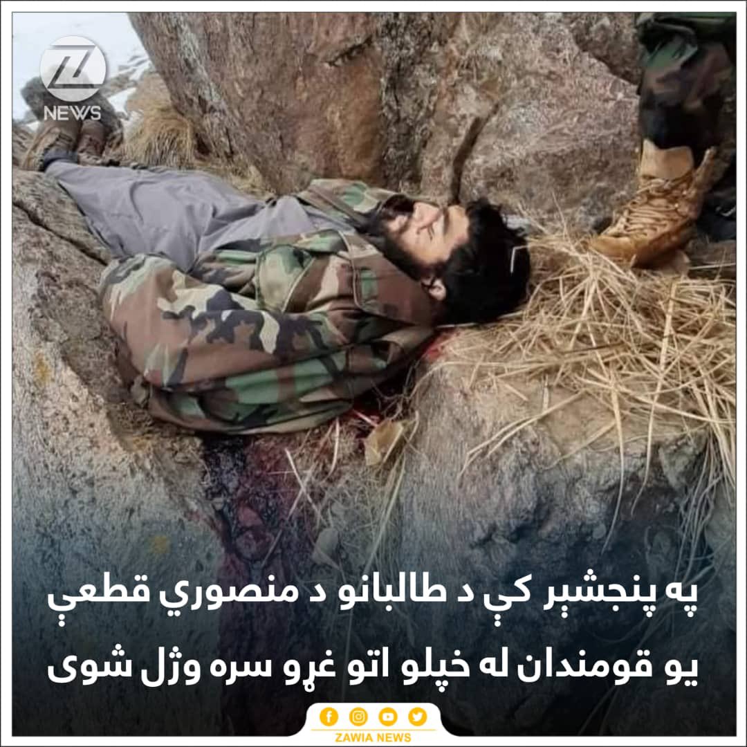 RahmatAndar1's tweet photo. ط.لبه!
د جګړې دروازې ته پرانيزي!

شپږ مياشتې وشوي چې لا دې هم کورنی مشروعيت نه دی ترلاسه کړی او امير دي نه دی مالوم.

نورې نړۍ ته سوال او زارۍ کوي چې په رسميت دې وپېژني، خو له افغانانو سره د ټوپک په شپېلۍ خبرې کوي.

په راتلونکي کې د هرې بدختۍ مسؤل ته يې.
#SanctionPakistan https://t.co/MMjS7gwa95