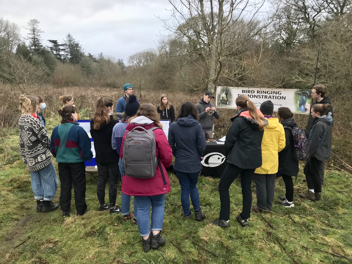 Kate Fox tweet media