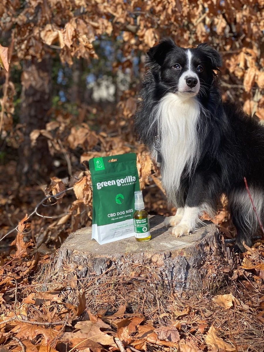 This adventure-loving pup plays all day outside and unwinds in nature with the aid of our Pet Favorites Bundle!

#healthydogtreats #naturaldogtreats
#getoutside
#destress