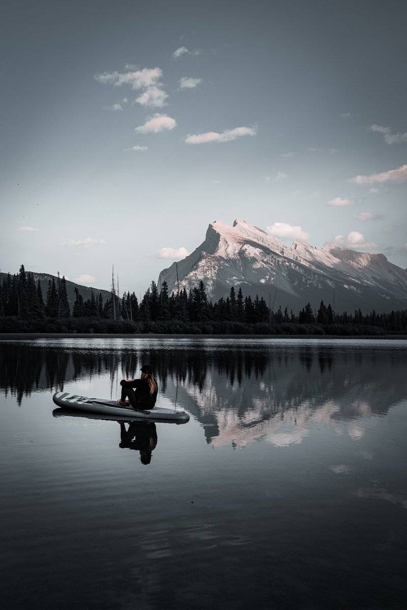 Adam Goodwillie tweet media