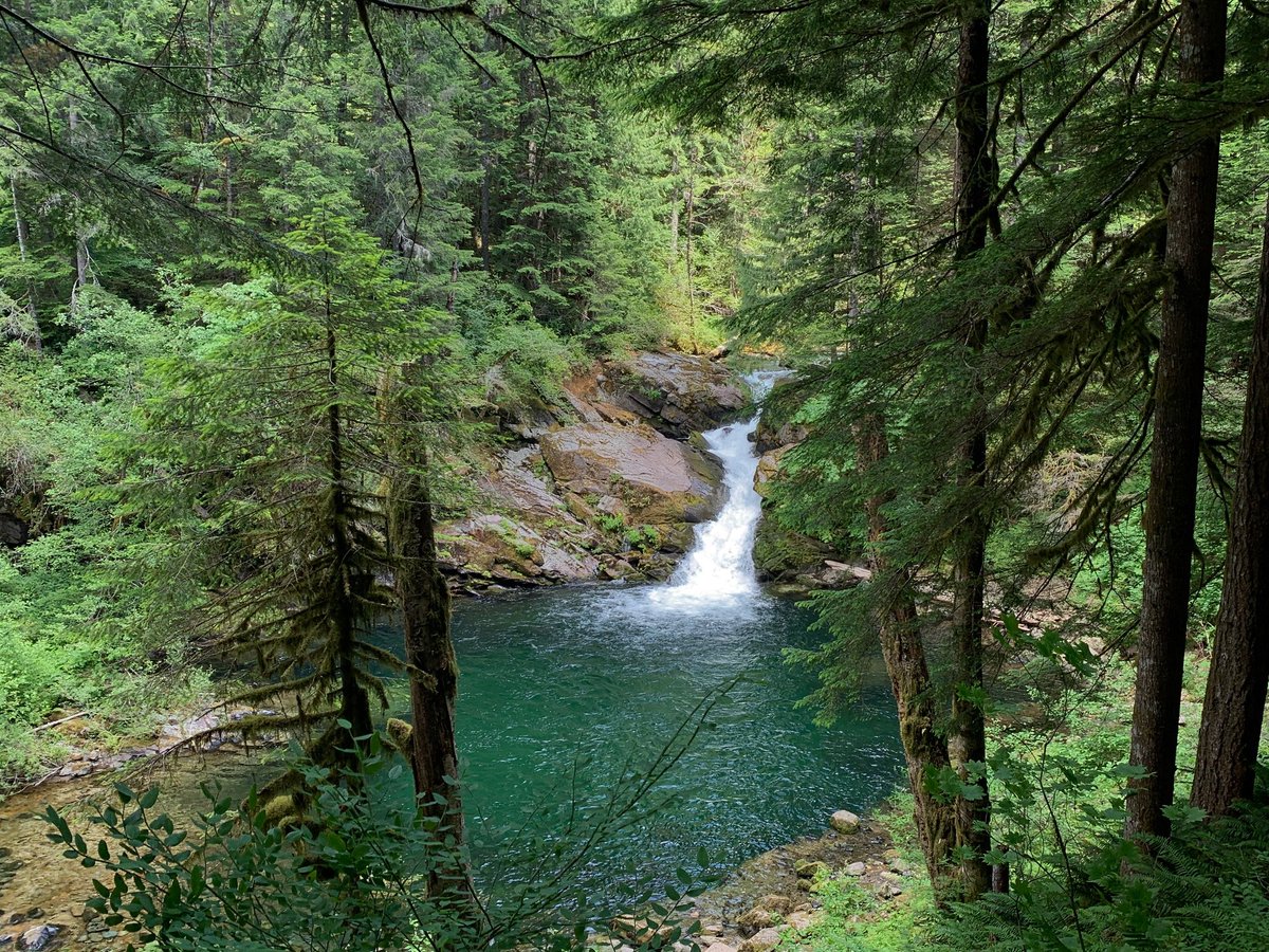 ForestServiceNW's tweet photo. “The best remedy for those who are afraid, lonely or unhappy is to go outside. Because only then does one feel that all is as it should be, amidst the simple beauty of nature.”

—Anne Frank

#WednesdayWisdom https://t.co/K2dqRn88AO