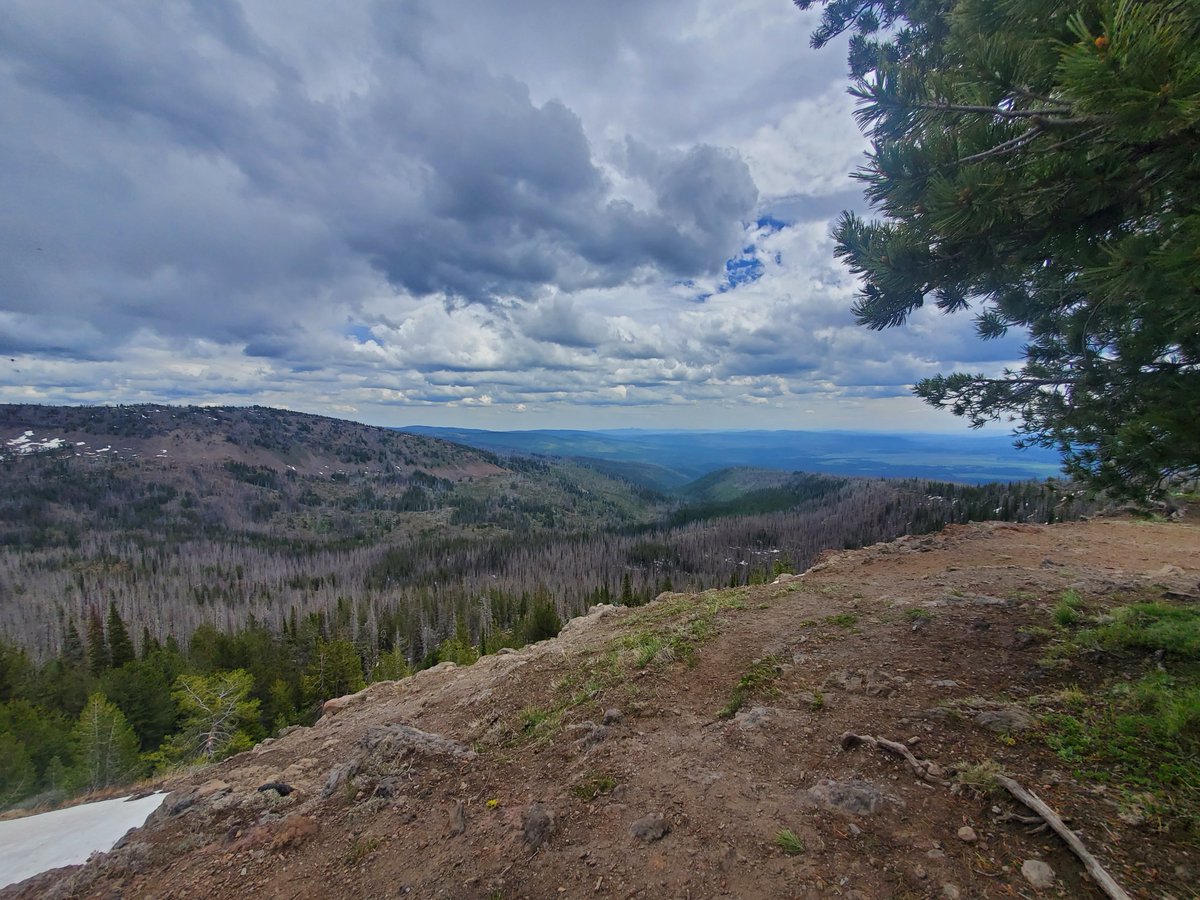 “The best remedy for those who are afraid, lonely or unhappy is to go outside. Because only then does one feel that all is as it should be, amidst the simple beauty of nature.”

—Anne Frank

#WednesdayWisdom