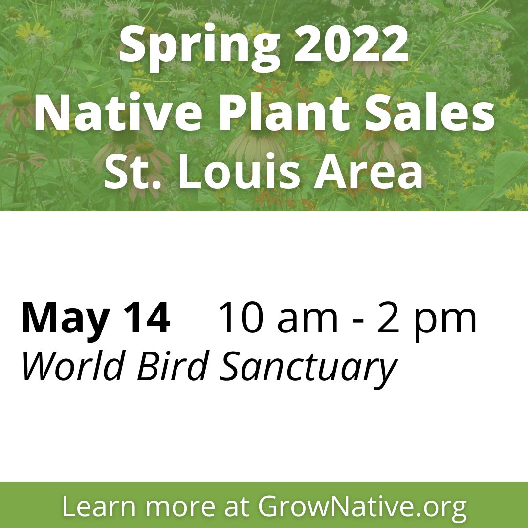 grownativemo's tweet photo. Mark your calendars for our spring 2022 native plant sales! Lists of participating vendors and pre-order information will be available soon. Learn more: https://t.co/r4oKUmTWLh https://t.co/nXeuBjp9mS