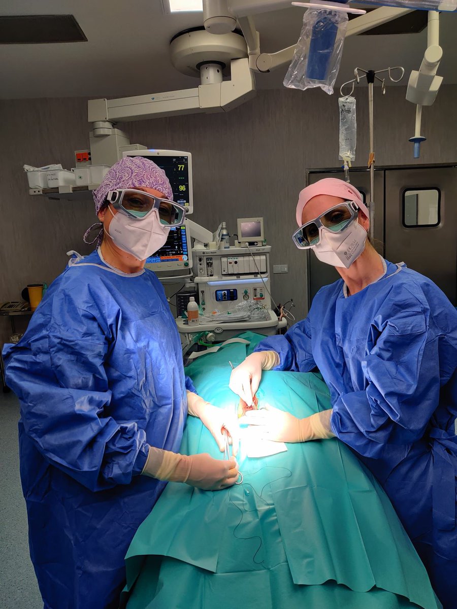 Probando tratamiento de la fístula perianal mediante Láser de diodo FiLaC empleado en 1 fístula compleja recidivada, 2 fístulas transesfinterianas medias- altas y 2 fístulas transesfinterianas bajas en sexo femenino. Todas previamente setonadas.
<a href="/g_arboleya/">Rocio M G Arboleya</a> <a href="/MariaJo65457135/">Maria Jose</a>