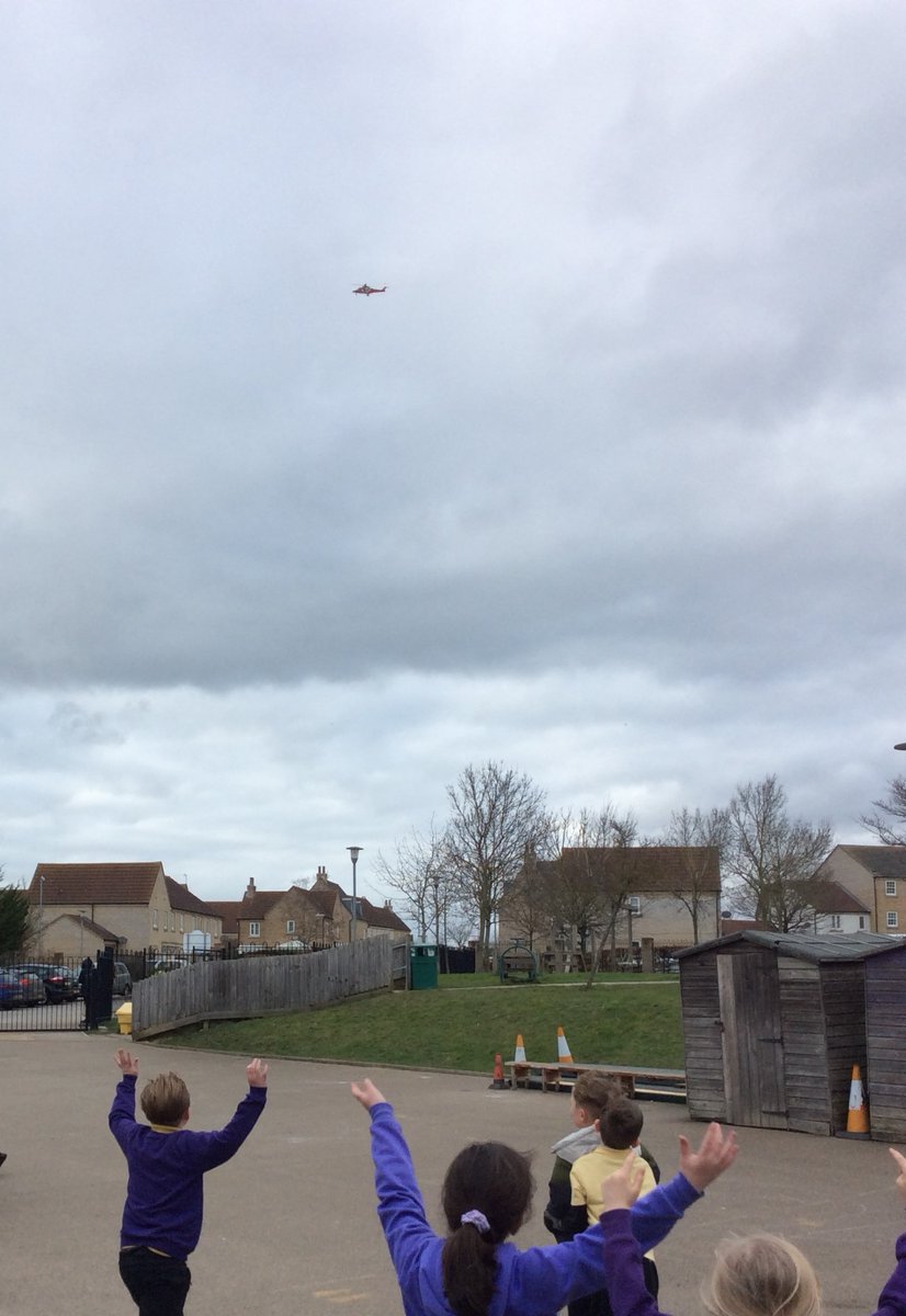 Lantern Primary tweet media