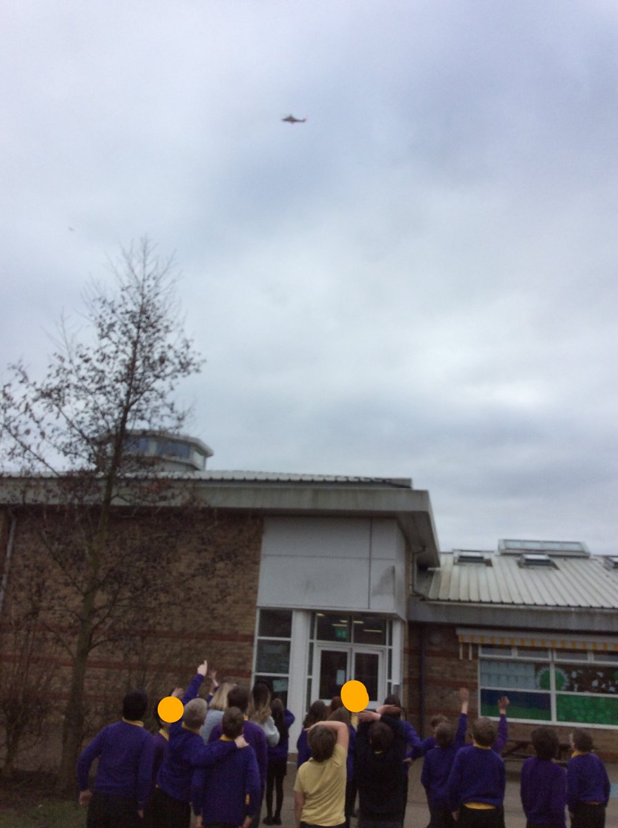Lantern Primary tweet media
