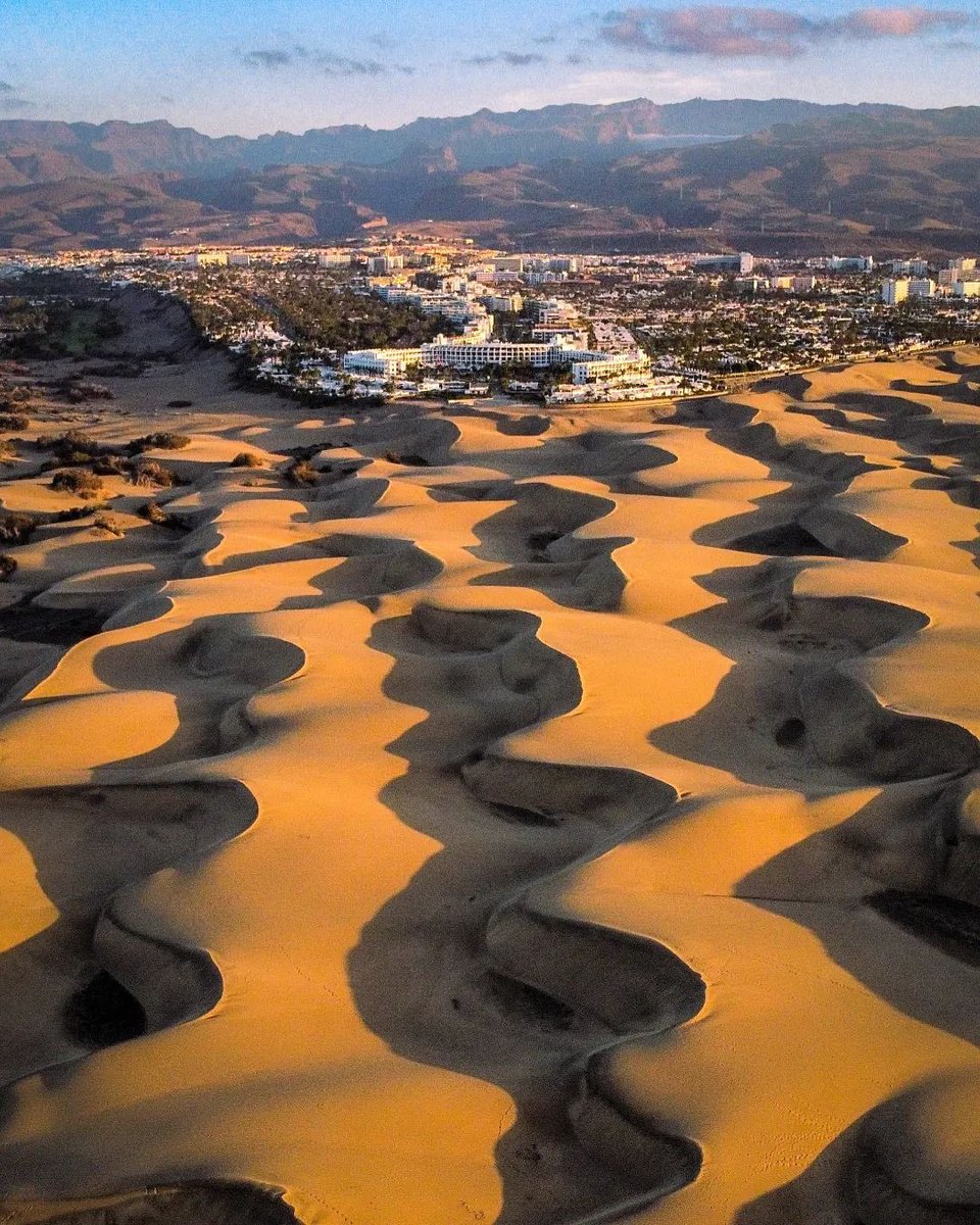 GranCanariaR's tweet photo. 📍 Dunas de Maspalomas https://t.co/IJ4b6XF44a