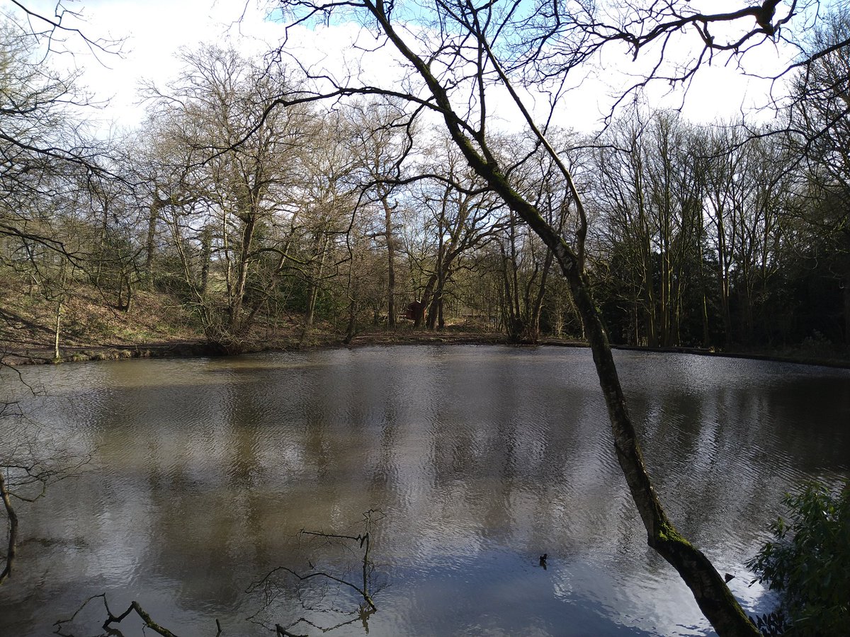 Alana Wheat 🌱 tweet media