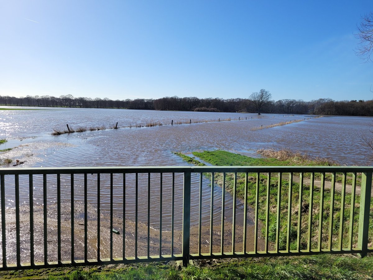 Ithiliya's tweet photo. Hochwasser der #Vechte bei mir in der #Grafschaft. 
Schon lang nicht mehr so heftig erlebt. https://t.co/b1XRKONI0l