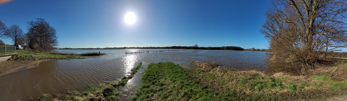 Ithiliya's tweet photo. Hochwasser der #Vechte bei mir in der #Grafschaft. 
Schon lang nicht mehr so heftig erlebt. https://t.co/b1XRKONI0l