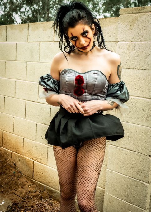 Georgie&hellip; meet HarleyWise https://t.co/wsJRYJX9GS