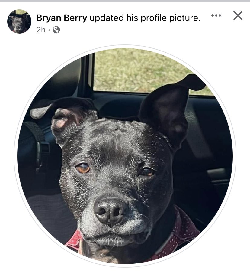 raacchhhell's tweet photo. My father changed his Facebook profile picture to a picture of my dog https://t.co/kYqGYkWjcj