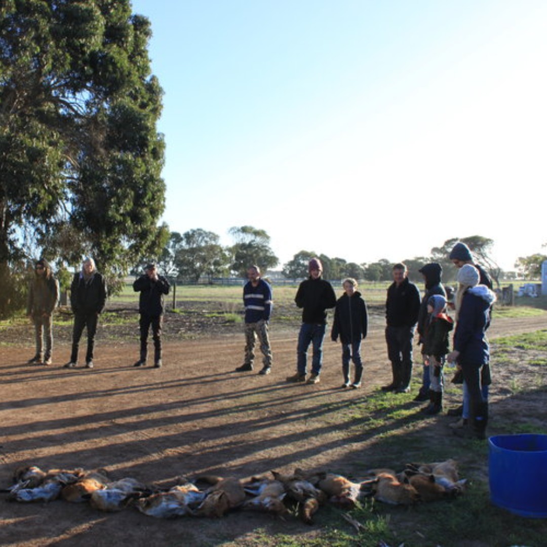 RedCardRF's tweet image. The Fitzgerald Bioshpere Group’s event in Jerramungup and Bremer Bay is also fast approaching. The popular community event will start at 5pm on Friday, 25 Feb. For more information, visit their event page. ow.ly/qCyJ50HQahH