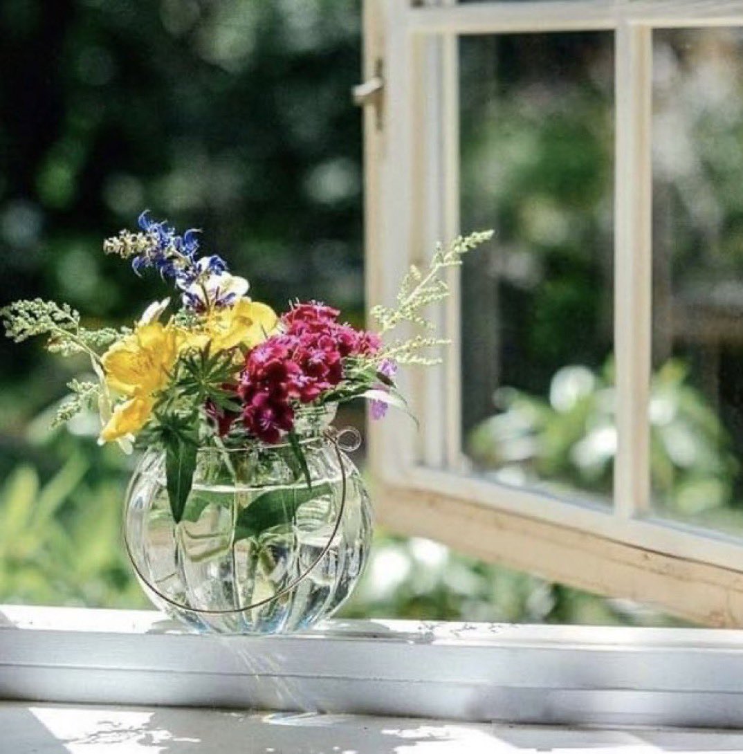 Подарить цветы в окно. Цветы на окне. Цветы в окее. Окно в цветах. Цветы в вазе на окне.