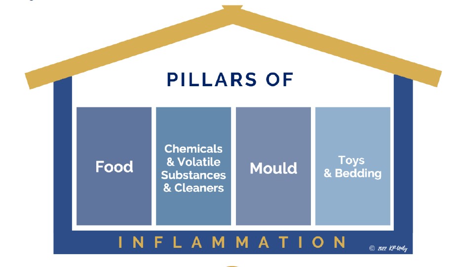 kpunityconcepts's tweet image. Releasing my latest comprehensive blog post and a 31-page ebook about dogs & chronic inflammation in 2 days' time! This is gold! Be ready for when it drops!🎊
#KPUnity #HealthyWealthyHarmony #Inflammation #Doglover #Balance #LowToxLivingWithPets #petlovers #HolisticHealth #Dogs