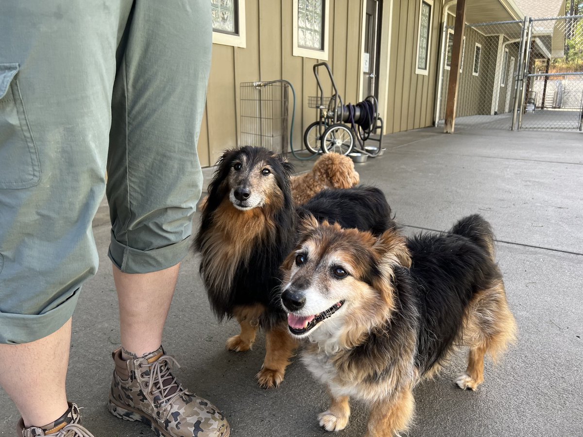 bing_lodge's tweet photo. It’s wiggle Wednesday, Y’all! https://t.co/e9SIBO0YEe