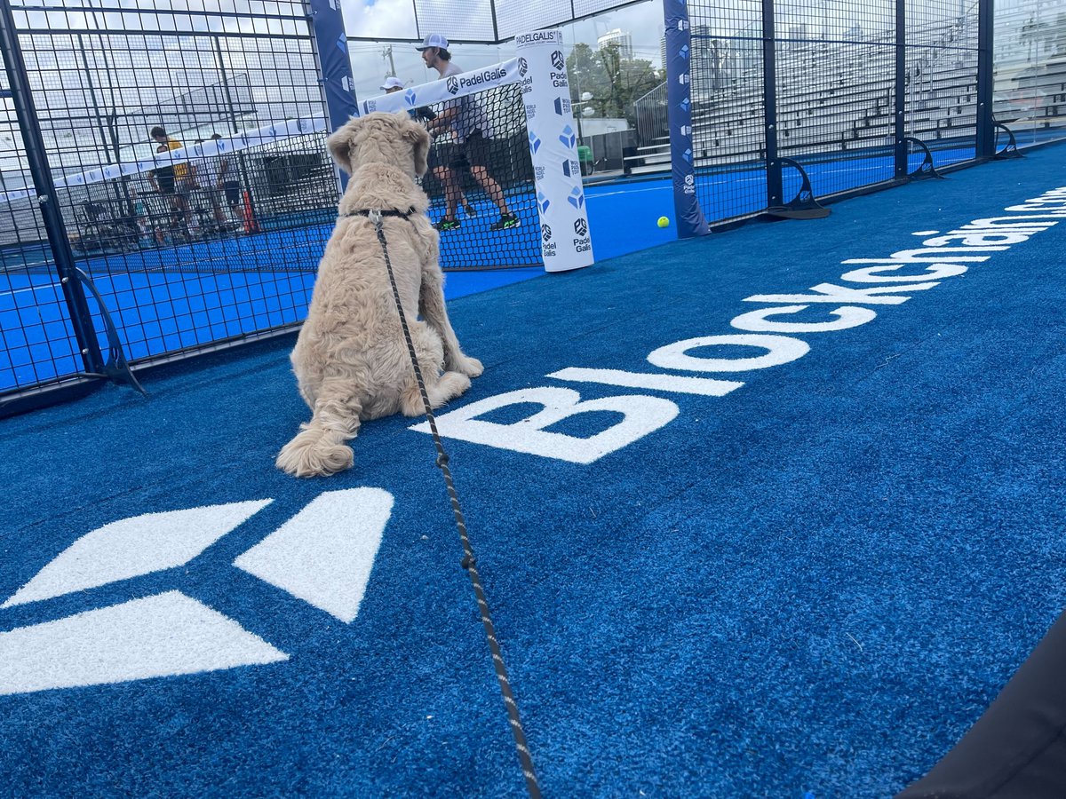 blockchain's tweet photo. We're here for day two of the https://t.co/0DZyULs63t Miami Padel Open 2022 👋

Tune in at 📺 https://t.co/c6O9Qf0IMf

@WorldPadelTour #WPTMiamiOpen https://t.co/0h1HgFNEga