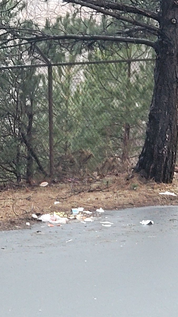 gitafionaphoto's tweet photo. People are disgusting! Parked on my street and left all the garbage behind. #northend https://t.co/l2qOf2HB2A
