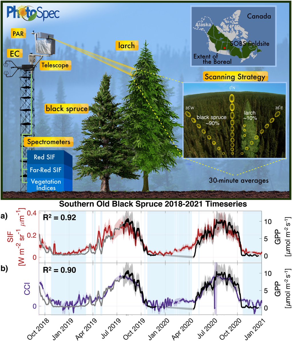 Troy Magney (@troymagney) on Twitter photo Final version of our paper looking at 2.5 years of tower spectral data at an evergreen forest is now up <a href="/JGRBiogeo/">Journal of Geophysical Research: Biogeosciences</a>!
<a href="/Zoeapie/">Dr. Pierrat 🌲☀️🌳🔭🌈</a> highlights the use of physiologically sensitive (SIF, CCI) vs. 'greenness' (NDVI, NIRv) indices to track diurnal and seasonal GPP
doi.org/10.1029/2021JG… Final version of our paper looking at 2.5 years of tower spectral data at an evergreen forest is now up <a href="/JGRBiogeo/">Journal of Geophysical Research: Biogeosciences</a>!
<a href="/Zoeapie/">Dr. Pierrat 🌲☀️🌳🔭🌈</a> highlights the use of physiologically sensitive (SIF, CCI) vs. 'greenness' (NDVI, NIRv) indices to track diurnal and seasonal GPP
doi.org/10.1029/2021JG…